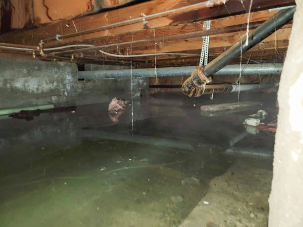 Sewage cleanup and water damage restoration in Wright, FL