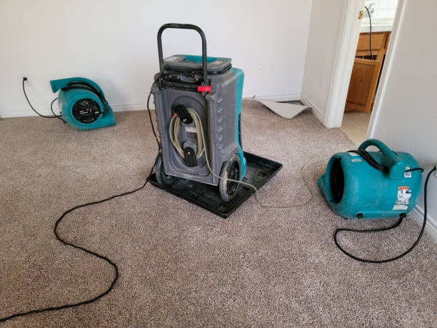 Fire Damage Restoration in Wright, FL