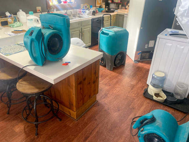 Best Flooded house restoration  in Wright, FL