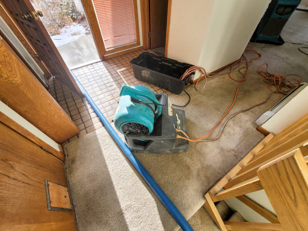 Best Emergency water damage restoration  in Wright, FL