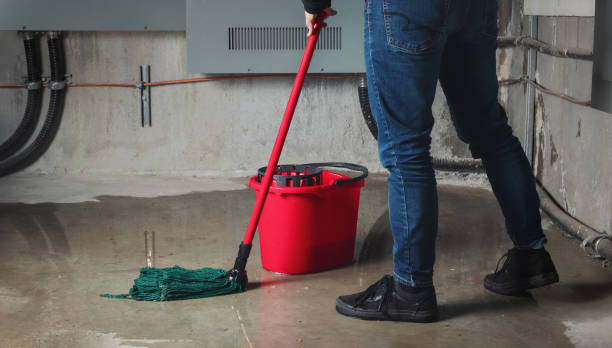 Best 24/7 water damage repair  in Wright, FL