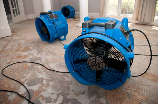 Local water damage restoration in Wright, FL