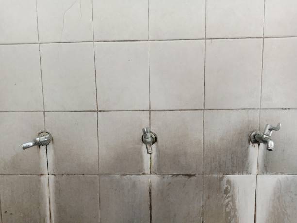 Best Professional water damage repair  in Wright, FL