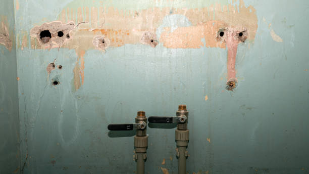 Best Water damage restoration services  in Wright, FL