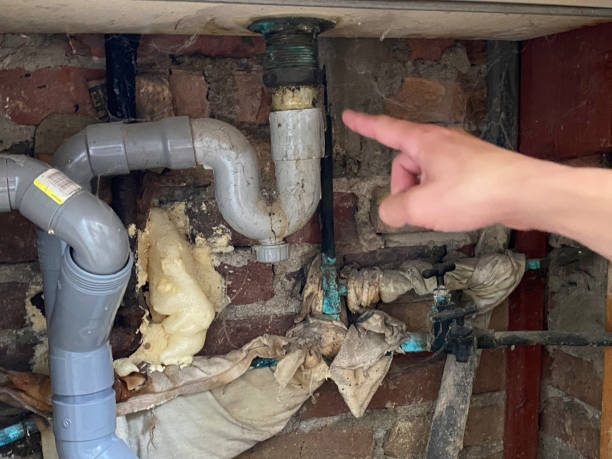 Best Sewage cleanup and water damage restoration  in Wright, FL
